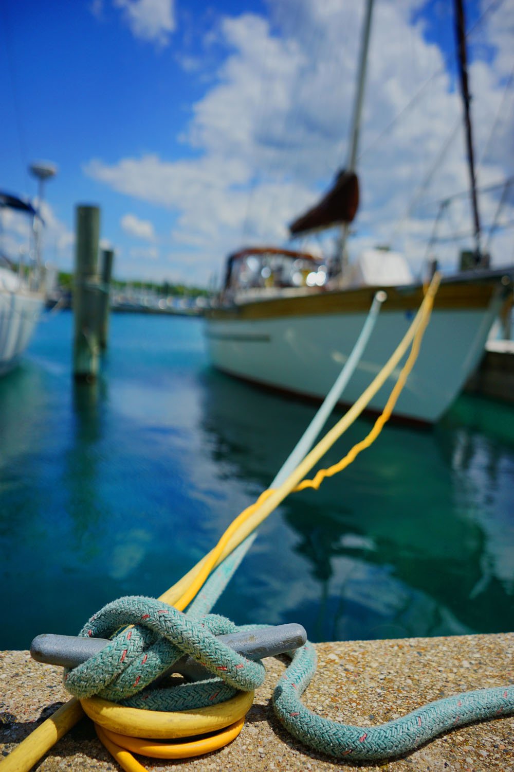 AdobeStock_216193951.jpg